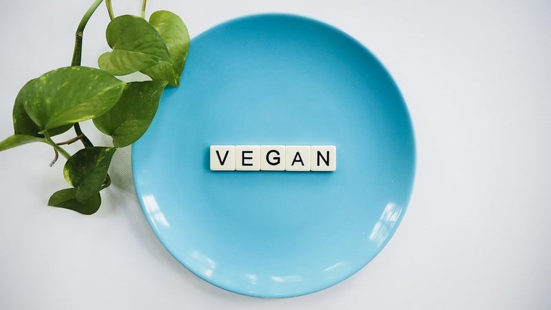 Plant-based Recipes